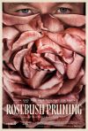 Rosebush Pruning poster